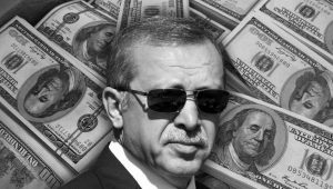 erdogan_dolar