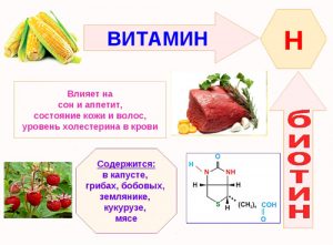 vitamin-b7-3